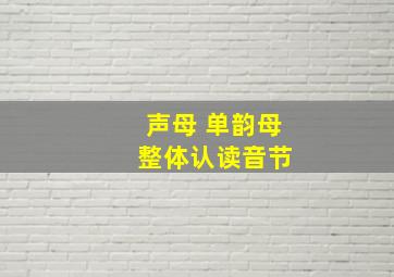 声母 单韵母 整体认读音节